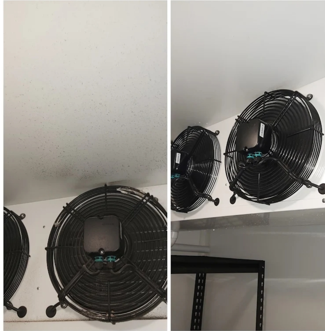 Coolroom ceiling & fan mould treatment